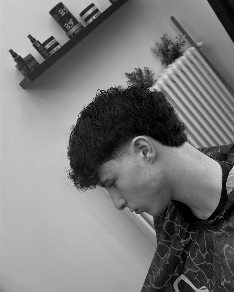 Ricci con Frangia - Barber FEB Minerbio